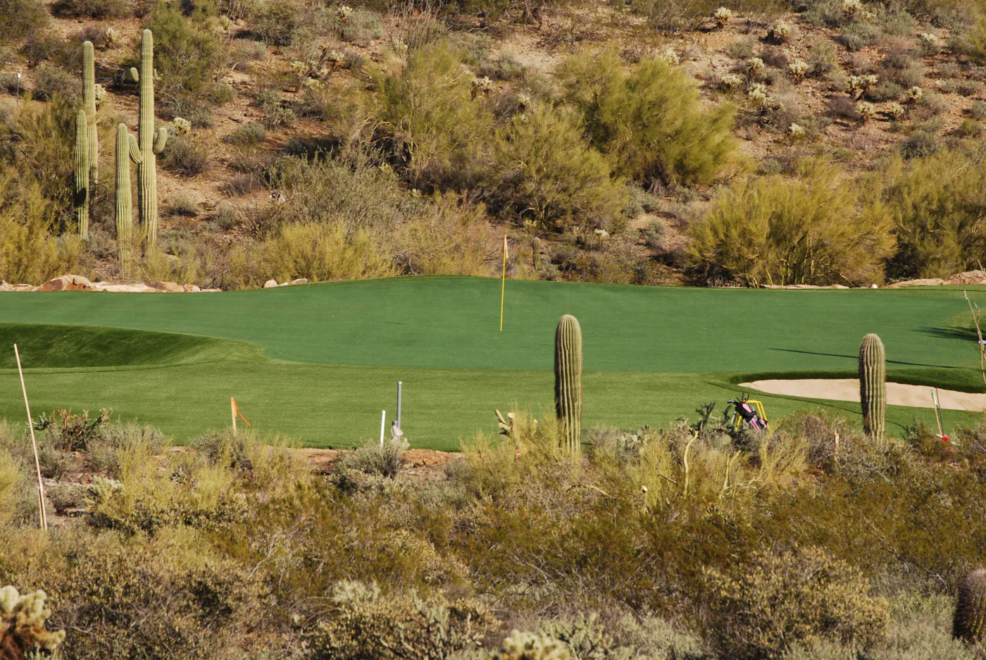 PROJECT HIGHLIGHT: Phoenix Backyard Golf Retreat